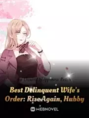 Best Delinquent Wife’s Order: Rise Again, Hubby